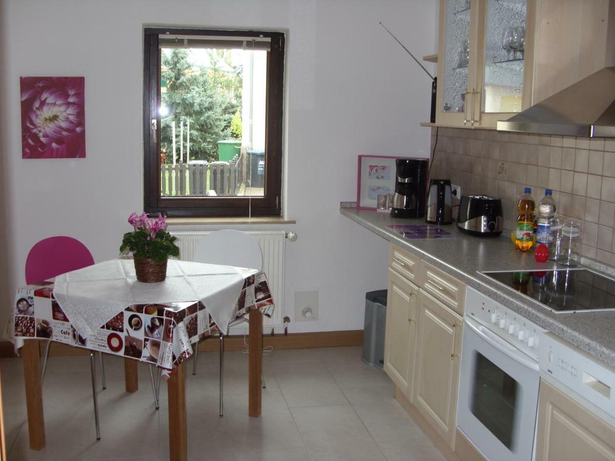Ferienwohnung Frenkel Freital Dış mekan fotoğraf